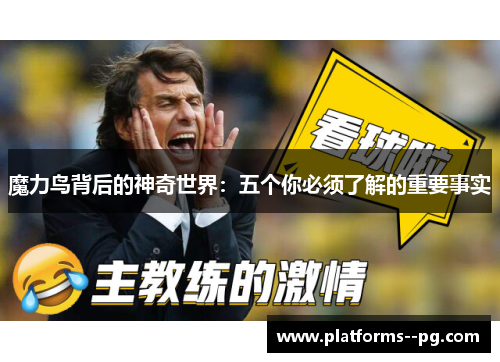 魔力鸟背后的神奇世界：五个你必须了解的重要事实